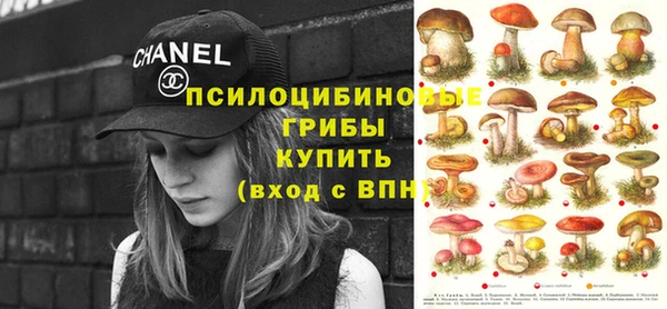 кокаин Белокуриха
