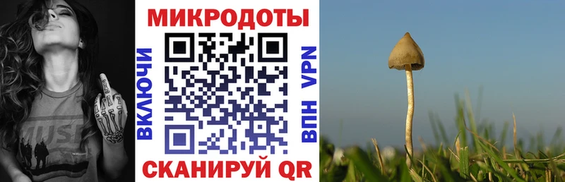 Галлюциногенные грибы Psilocybe Яблоновский
